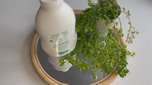 Argital Shampoo til fedtet hår og skæl - Med Brændenælde-blad ekstrakt