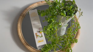 Argital Kamille Creme med Morgenfrue - Beroligende og forfriskende