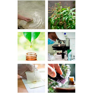 Argital Slimming Oil