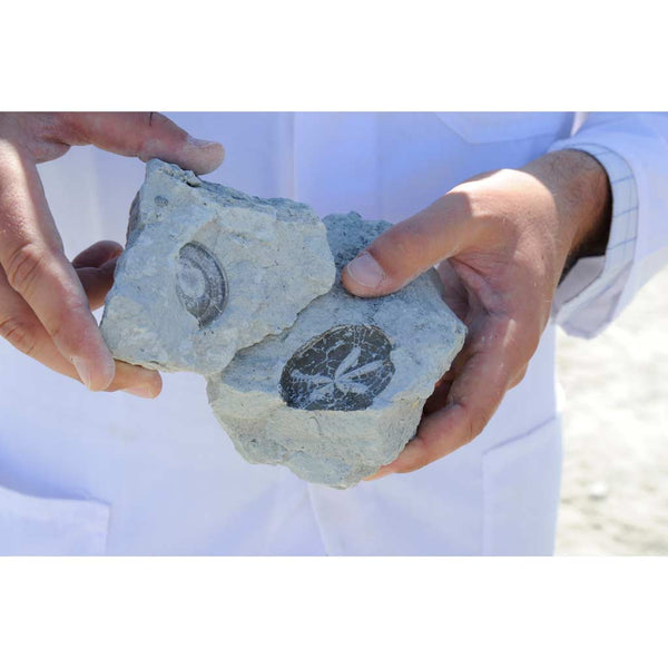 Argital Sensitiv Allergen-fri Mist Toner - med viol ekstrakt