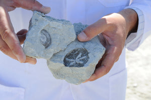 Argital Composed Water - rens og mist i én