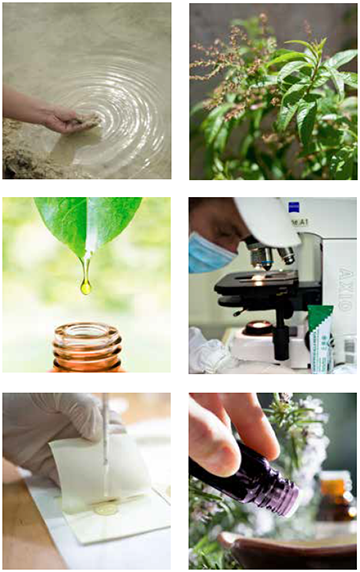 Argital Thuja og Troldnød Creme  - Til vener og kapillærer.