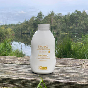 Argital Shampoo til fint hår - Med Kamilleblomst ekstrakt
